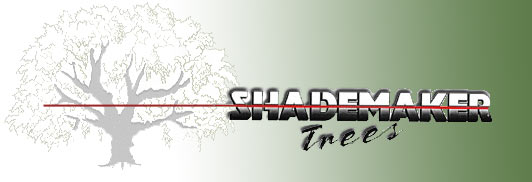 Shademaker Logo